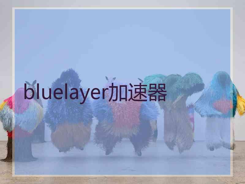 bluelayer加速器