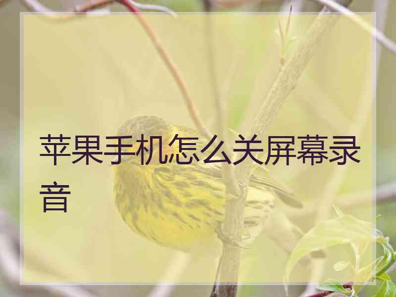 苹果手机怎么关屏幕录音