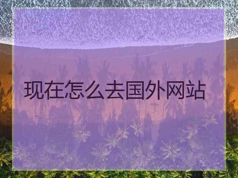 现在怎么去国外网站