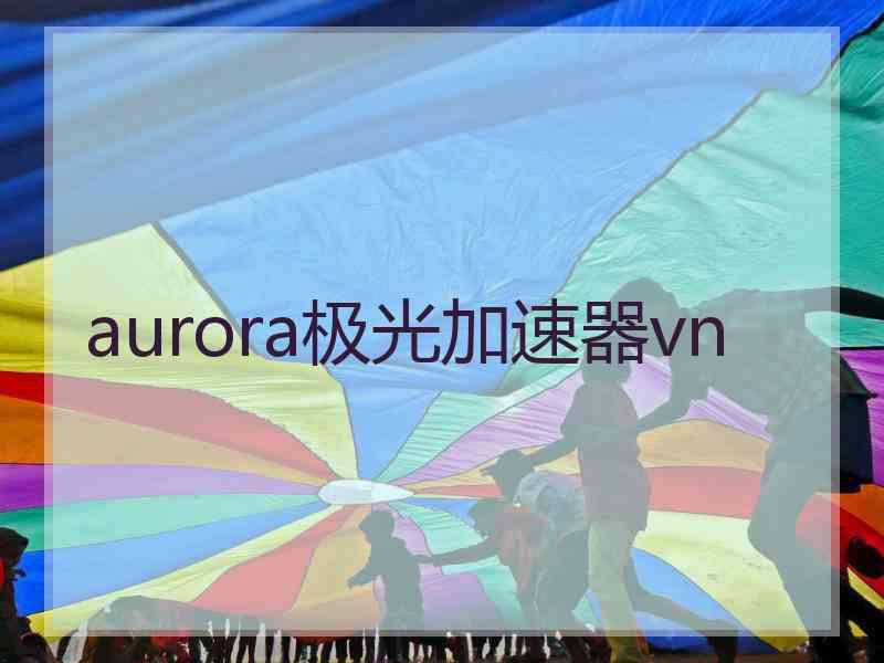 aurora极光加速器vn