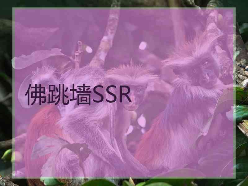 佛跳墙SSR