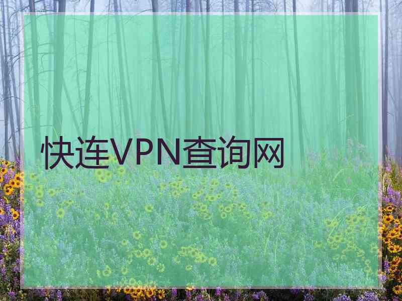 快连VPN查询网