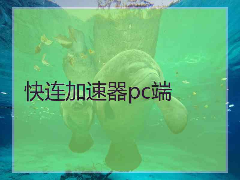 快连加速器pc端