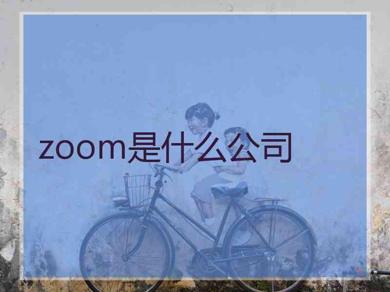 zoom是什么公司