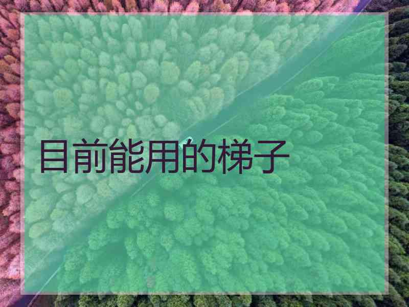 目前能用的梯子