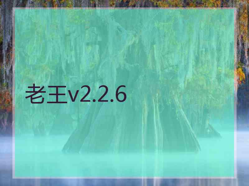 老王v2.2.6