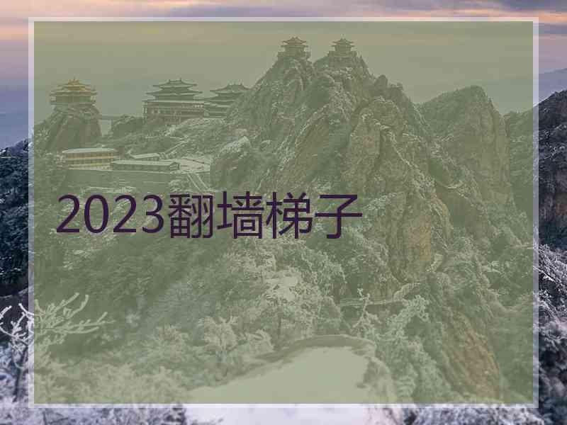 2023翻墙梯子