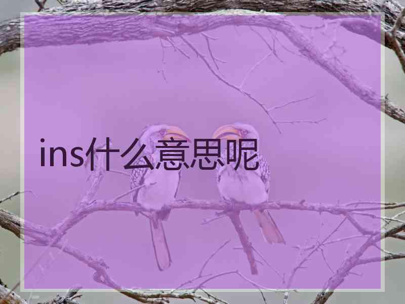 ins什么意思呢