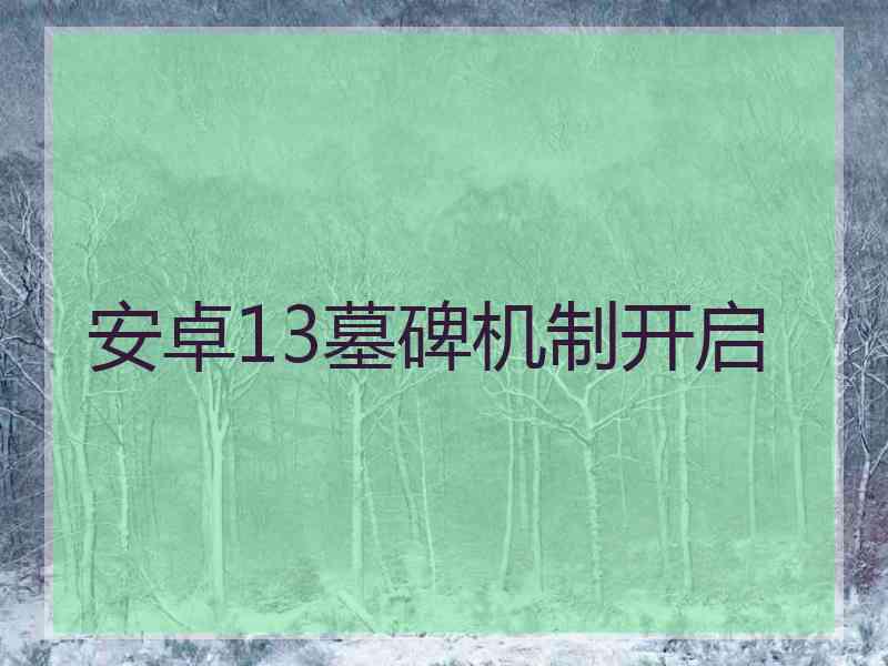 安卓13墓碑机制开启