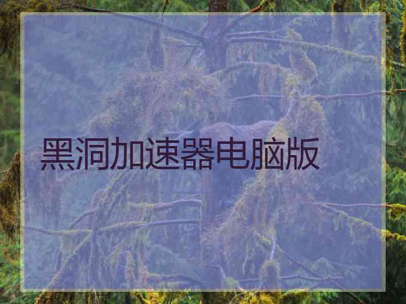 黑洞加速器电脑版