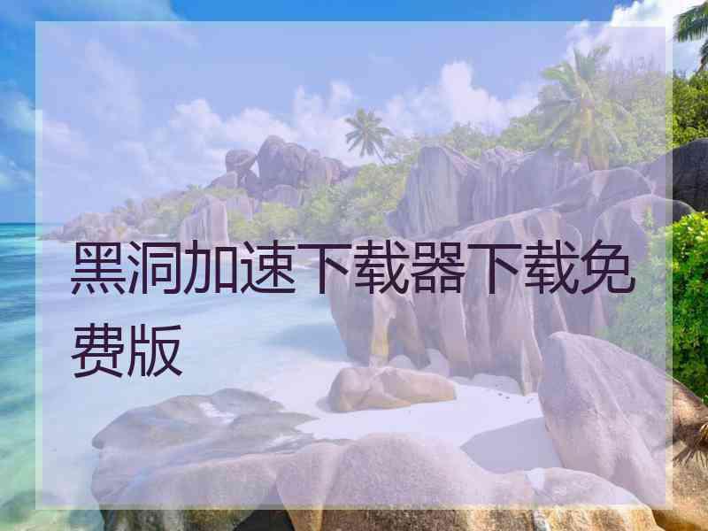 黑洞加速下载器下载免费版