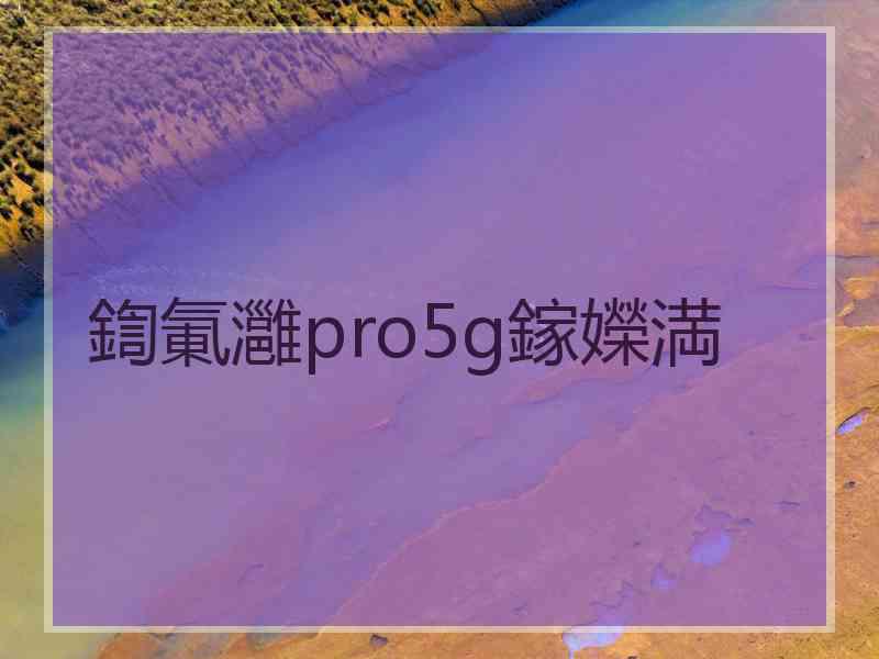 鍧氭灉pro5g鎵嬫満