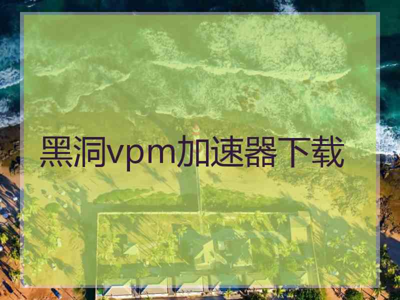 黑洞vpm加速器下载