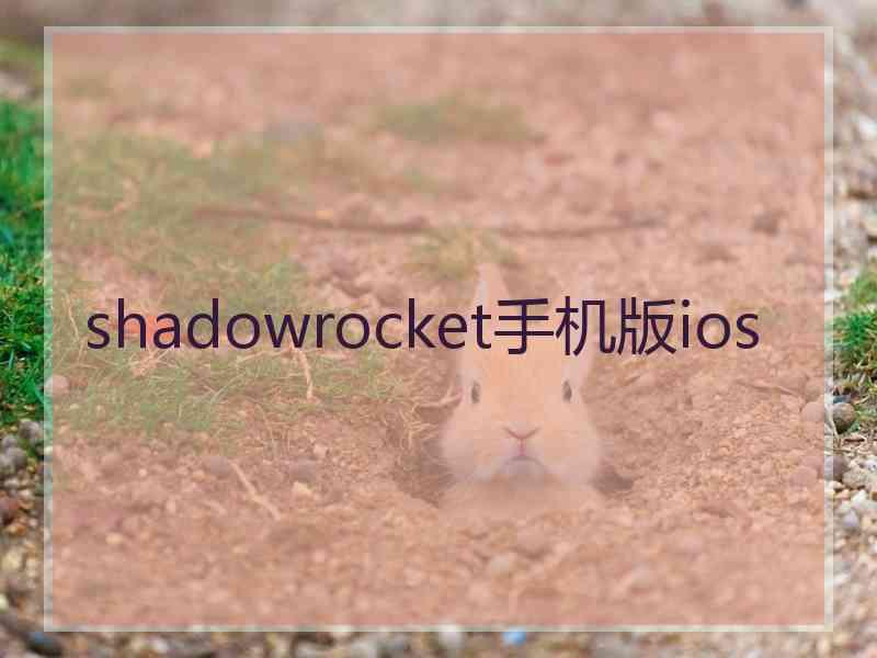 shadowrocket手机版ios