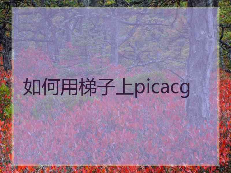 如何用梯子上picacg