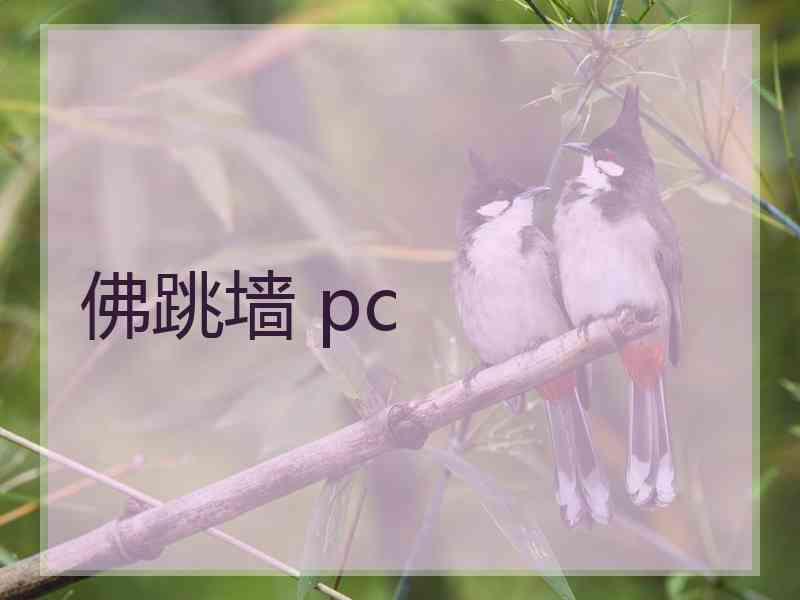 佛跳墙 pc