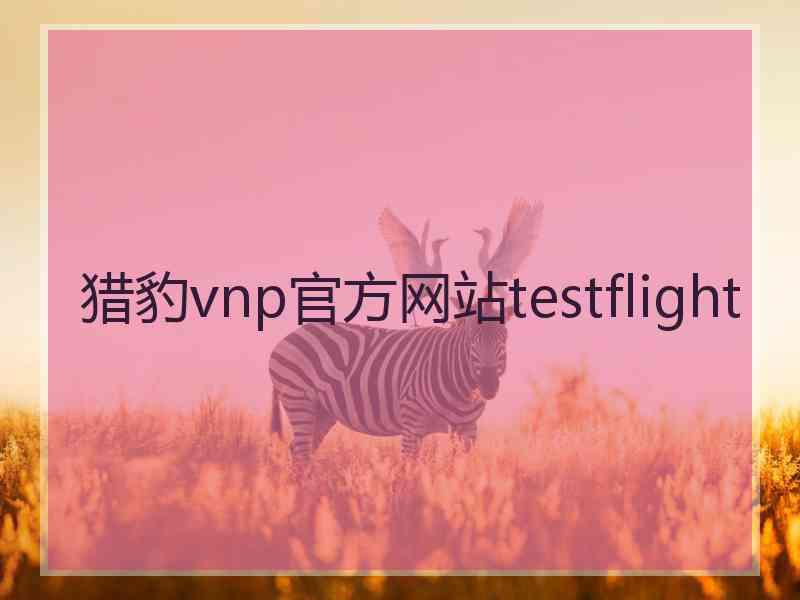 猎豹vnp官方网站testflight