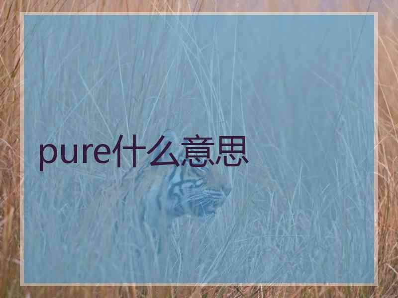 pure什么意思