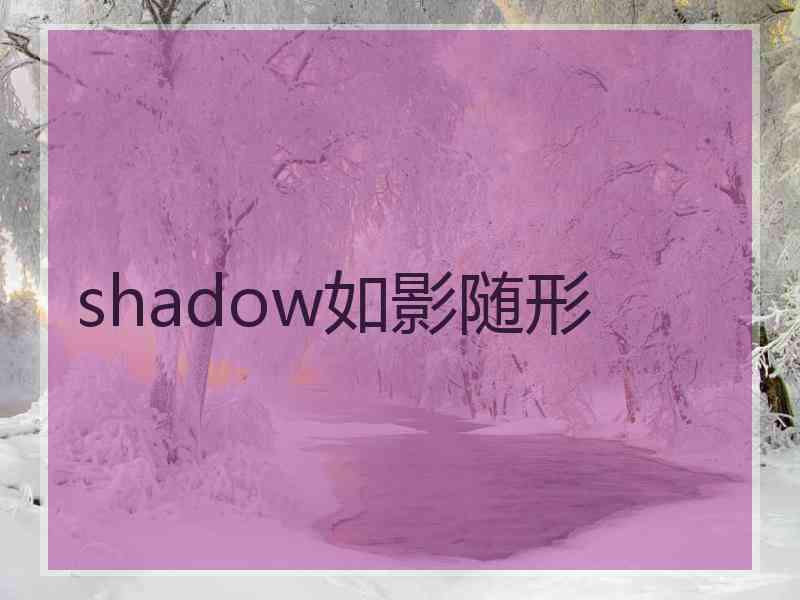 shadow如影随形