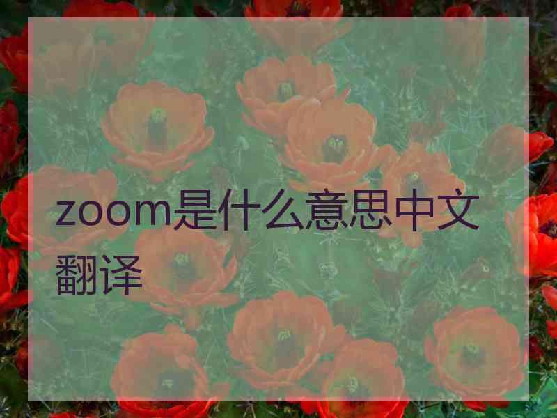 zoom是什么意思中文翻译