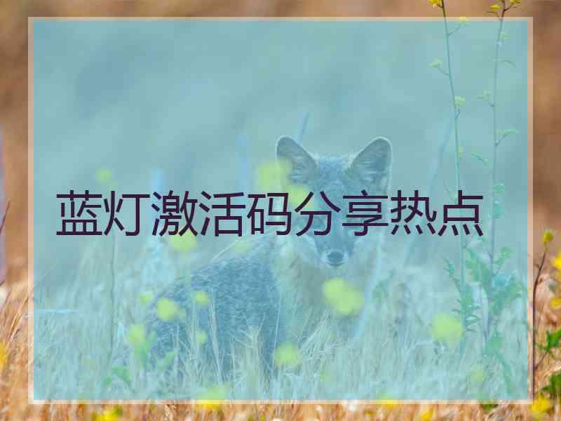 蓝灯激活码分享热点