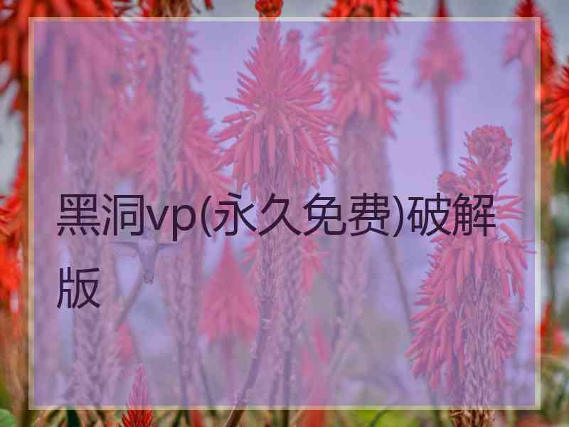 黑洞vp(永久免费)破解版