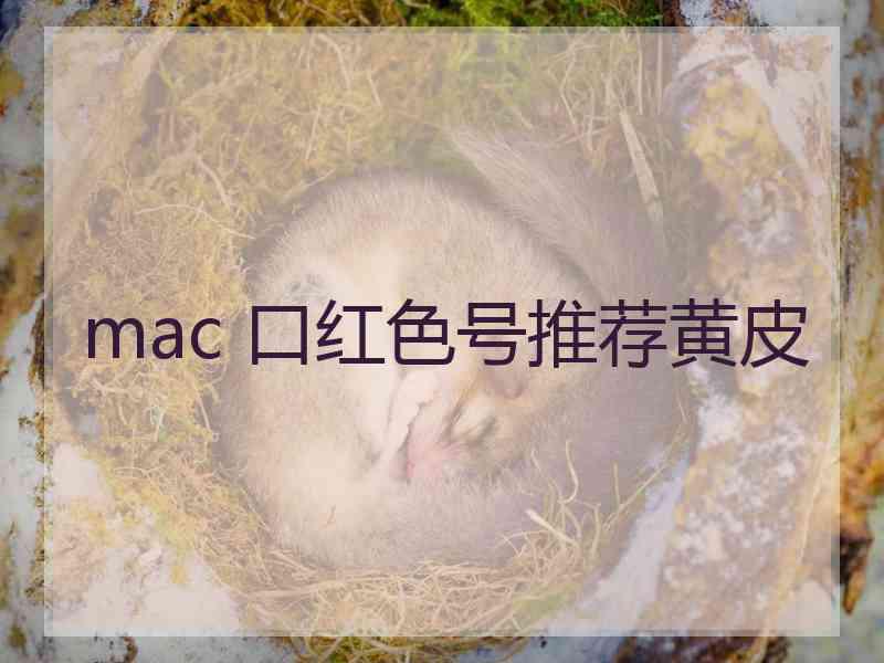 mac 口红色号推荐黄皮