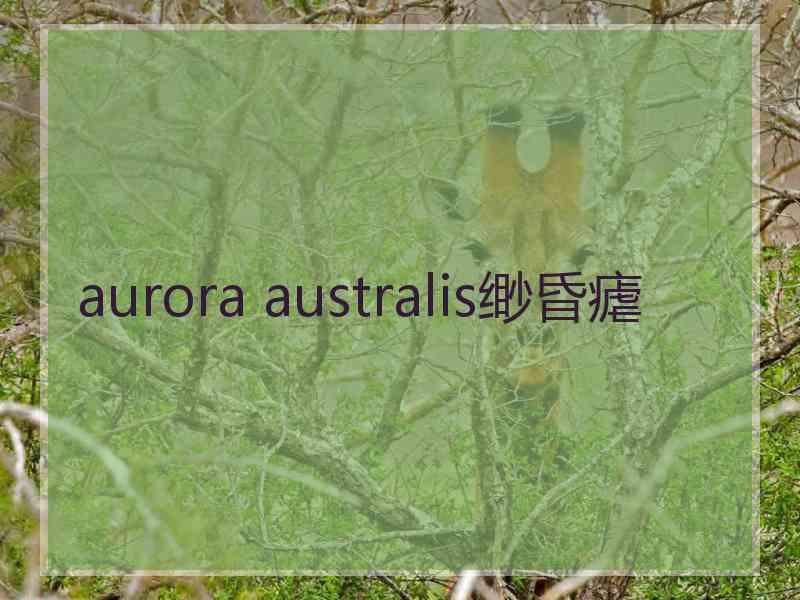 aurora australis缈昏瘧