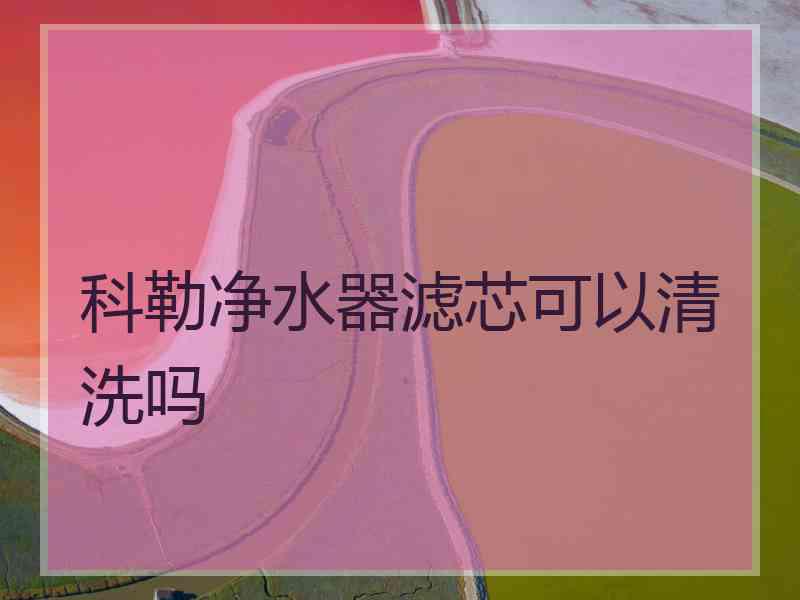 科勒净水器滤芯可以清洗吗