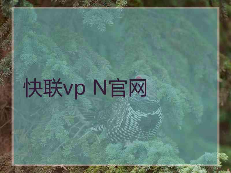 快联vp N官网