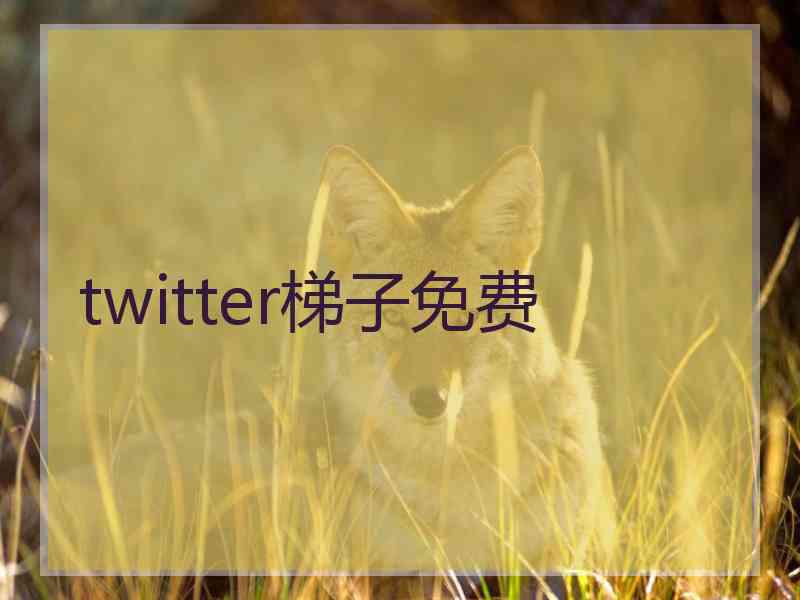 twitter梯子免费