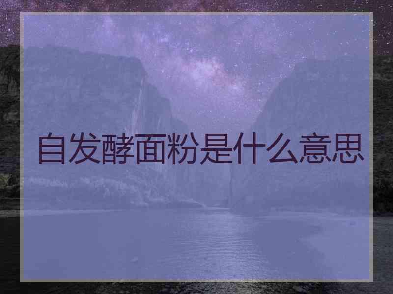 自发酵面粉是什么意思