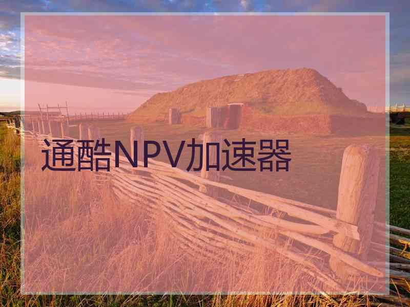 通酷NPV加速器