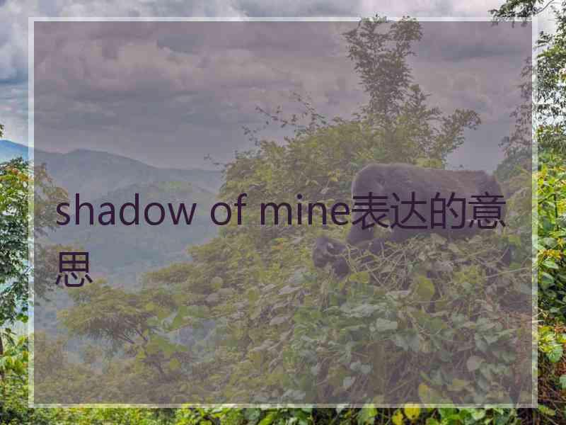 shadow of mine表达的意思