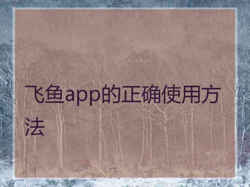 飞鱼app的正确使用方法