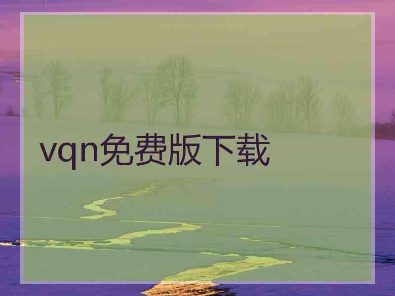 vqn免费版下载