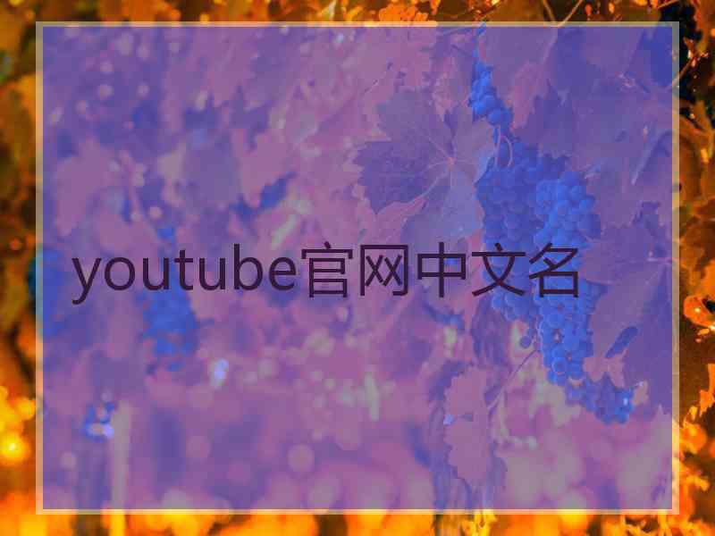 youtube官网中文名