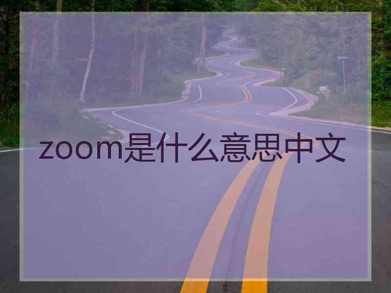 zoom是什么意思中文