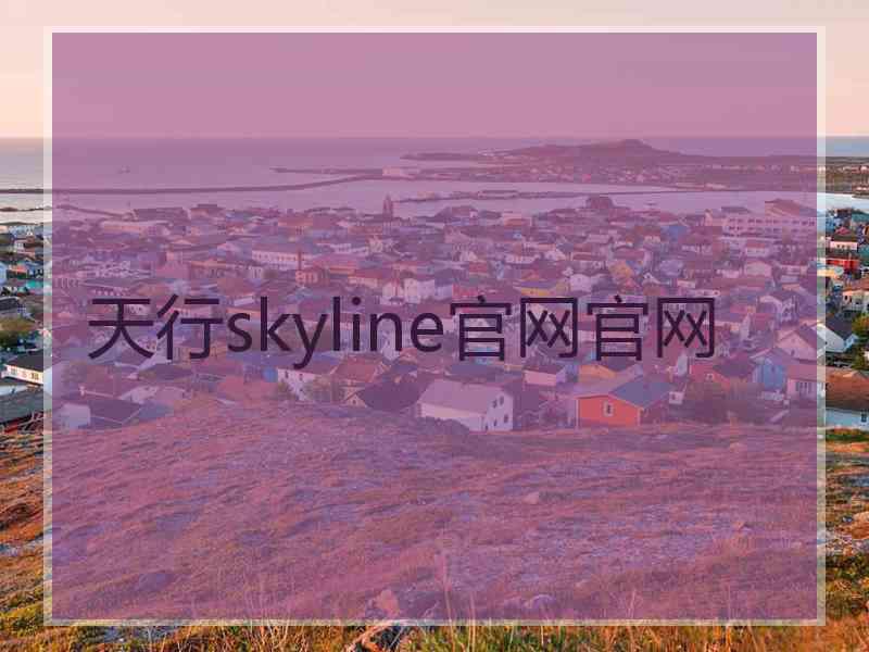 天行skyline官网官网