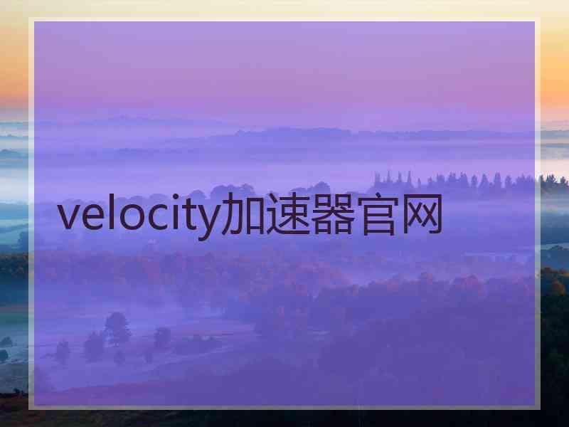 velocity加速器官网