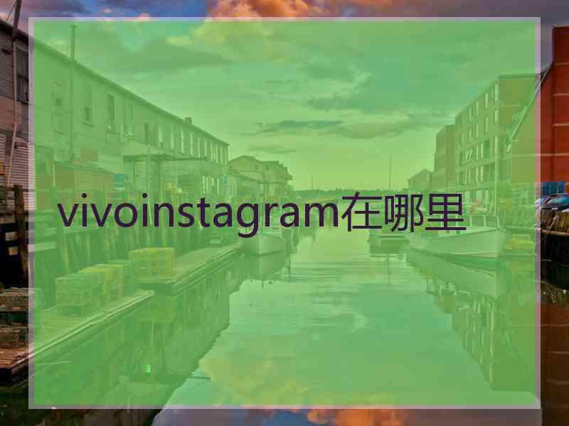 vivoinstagram在哪里