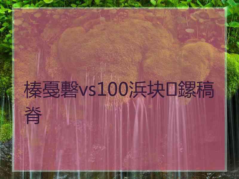 榛戞礊vs100浜块鏍稿脊