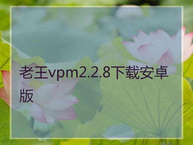 老王vpm2.2.8下载安卓版