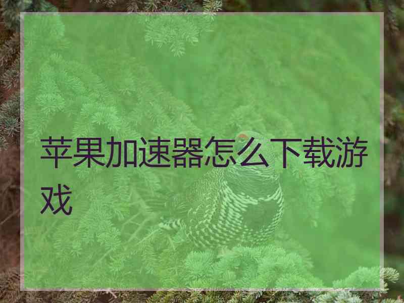 苹果加速器怎么下载游戏