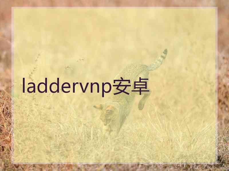 laddervnp安卓