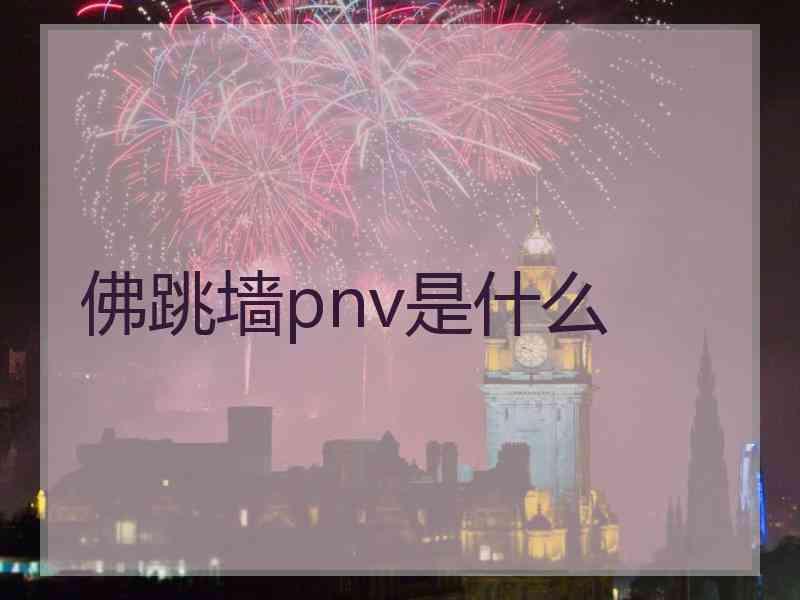 佛跳墙pnv是什么