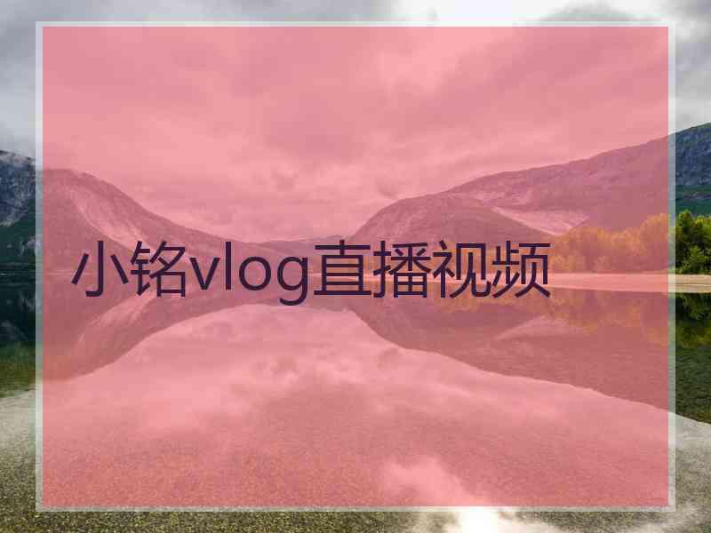 小铭vlog直播视频