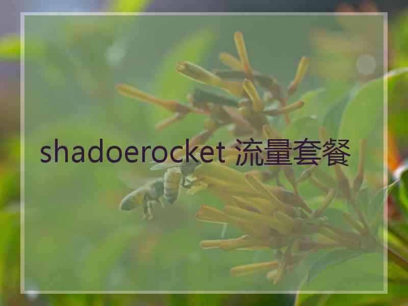 shadoerocket 流量套餐