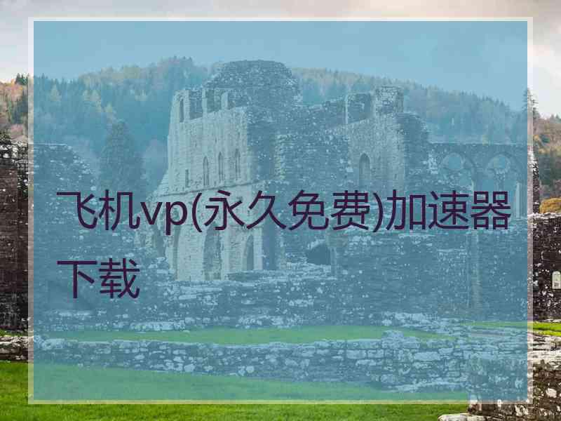 飞机vp(永久免费)加速器下载