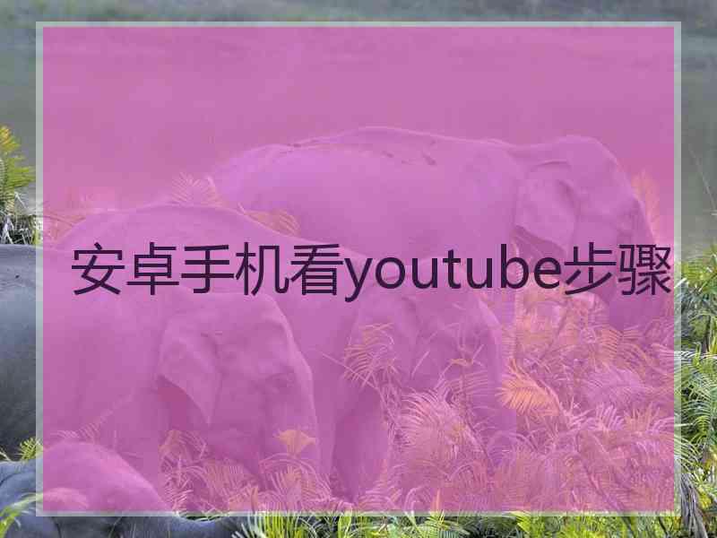 安卓手机看youtube步骤